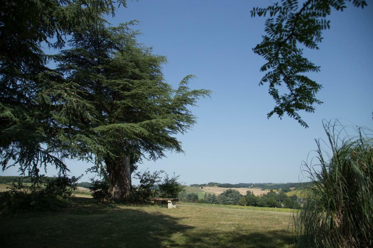 Chartreuse De Dane Bed & Breakfast Saint-Jean-Poutge ภายนอก รูปภาพ